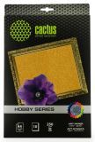  Cactus CS-DA425010G