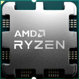  AMD Ryzen 9 9900X 4.4GHz OEM