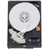   250GB Seagate ST250DM000