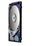 ������� ���� 500 GB Hitachi Travelstar Z7K500 (HTE725050A7E630) (0J26055)