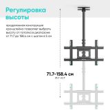   /32-80" BLACK N1L ONKRON (N1L BLACK)