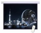    Cactus Motoscreen CS-PSM-124X221