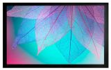  124X220CM CS-PSFRE-220X124 CACTUS (CS-PSFRE-220X124)