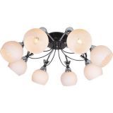  J-LIGHT PIZA 5008/8C (4610019165988)