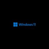  OEM Windows 11 Home 64-bit Russian 1pk DSP OEI DVD (KW9-00651) (KW9-00651)
