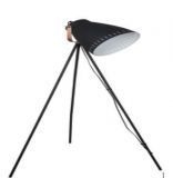  J-LIGHT JAMYLY 5019/1F (4610019166022)