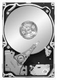 ������� ���� 1 TB Seagate (ST91000640NS)