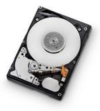   6TB Seagate (ST6000NM0095)