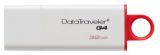 - 32GB Kingston DTI G4  (DTIG4/32GB)