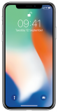  Apple iPhone X 256GB Silver (MQAG2RU/A)