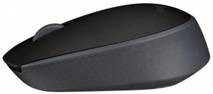  Logitech M171