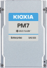   Kioxia 7.68Tb PM7-R (KPM71RUG7T68)