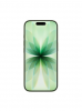   IPHONE 17 256GB MG6C4J/A SAGE APPLE (MG6C4J/A)
