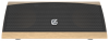   GZ electronics LoftSound GZ-66 (GZ-66(GD))