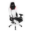   AKRacing ARCTICA white/black