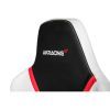   AKRacing ARCTICA white/black