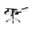   AKRacing ARCTICA white/black