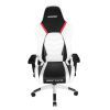   AKRacing ARCTICA white/black