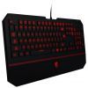  MSI Interceptor DS4100