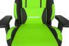  AKRacing PRIME (AK-K7018-BG) black/green