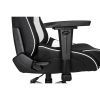   AKRacing PRO Black/White