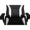  AKRacing PRO Black/White