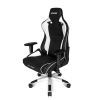   AKRacing PRO Black/White