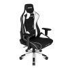  AKRacing PRO Black/White