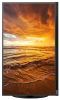  Lenovo ThinkVision P27u-10 (61CBGAT1EU)